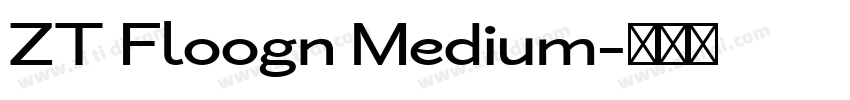 ZT Floogn Medium字体转换
